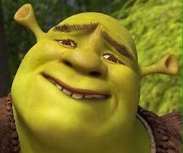 Image result for Shrek Meme Expression