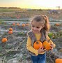 Image result for Donaldson Farms Hackettstown NJ Pumpkin Picking
