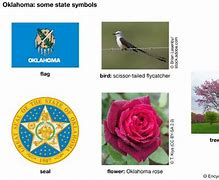 Image result for Oklahoma State Symbols for Kids
