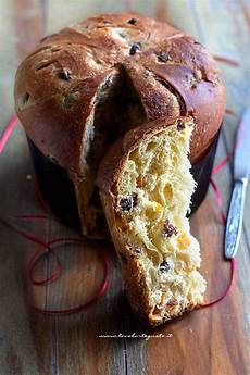 ricetta panettone fatto in casa panettone fatto in casa ricetta semplice passo passo ricetta panettone fatto in casa panettone fatto in casa ricetta semplice passo passo