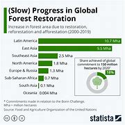 Image result for Forest Statistics