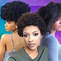 Image result for Hairstyles for Type 4C Hair