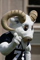 Image result for CFL Mascots