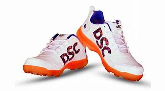 Image result for DSC Cricket Shoes