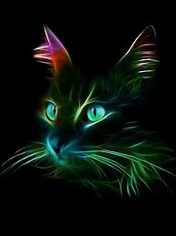 Image result for Cat Colorful iPhone Wallpaper