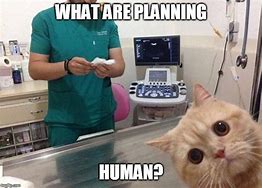 Image result for Animal Medical Meme