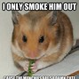 Image result for Little Hamster Meme