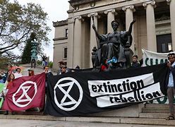 Image result for Columbia University Protests Continue