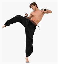 Image result for Cool Martial Arts Poses
