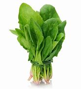 Image result for Cải Spinach