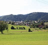 Image result for co_oznacza_zell_am_harmersbach