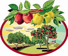 Image result for Apple Farm Clip Art