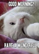 Image result for Funny Cat Meme Good Morning