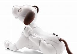 Image result for Aibo Feature