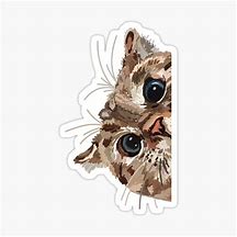 Image result for Red Bubble Cat Stickers