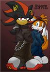 Image result for Sonic Shadow and Baby Diaper