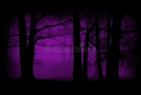 Image result for Mirror Photography in Woods