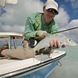 Image result for Common Fish in the Bahamas