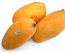 Image result for Pakistani Mangoes Types