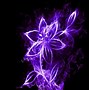 Image result for Neon Purple Flowers