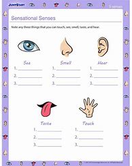 Image result for Human Senses Worksheet