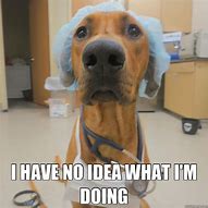 Image result for Nurse Dog Meme
