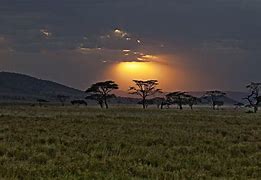 Image result for Kenya Wallpaper