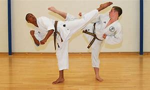 Image result for kyokushin karate