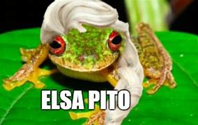Image result for Elsa Pato Meme