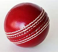 Image result for A Cricket Bat