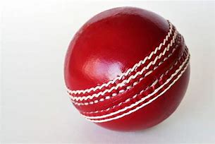 Image result for Cricket Bat Black and White