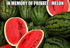 Image result for Watermelon Business Meme