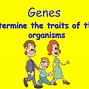 Image result for Heredity