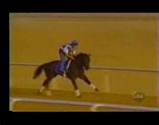 Image result for Synthetic Race Tracks Horse Racing