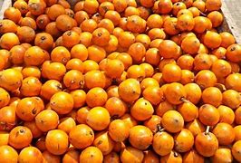 Image result for Nigerian Apple Fruit