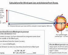 Image result for Blind Spot Vision