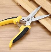 Image result for Tiny Pruning Scissors