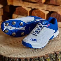 Image result for Spike Shoes for Cricket