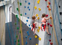 Image result for Climbing Activities
