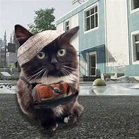 Image result for Funny Tarkov Cat PFP
