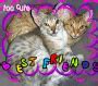 Image result for Funny Cute Best Friends