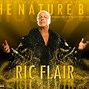Image result for Ric Flair Face