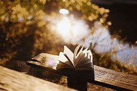 Image result for Book Animation