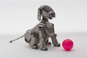 Image result for Aibo Sony Japan