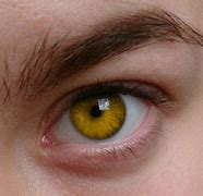 Image result for Yellow Eye Color