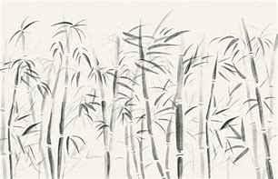 Image result for Zen Bamboo Wallpaper