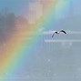 Image result for Rainbow Pattern Wallpaper