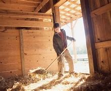 Image result for Clean the Barn Cartoon