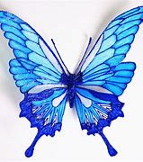 Image result for Papillon Dessin
