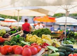 Image result for Farmers Market Background Vertical Free